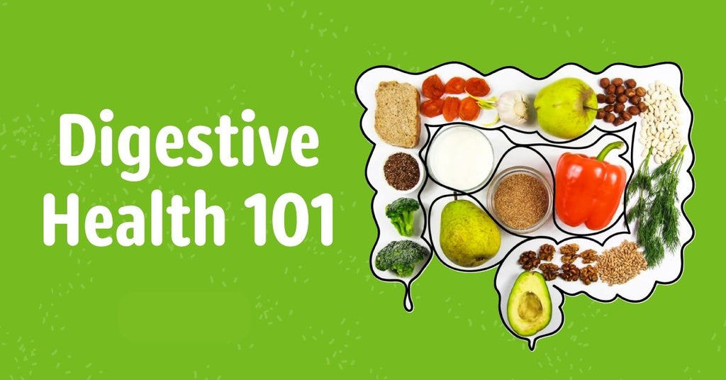 Digestive Health 101: Understanding The Microbiome & Gut Wellness