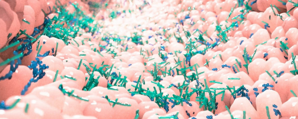 The Microbiome: What It Is And How Does It Work?